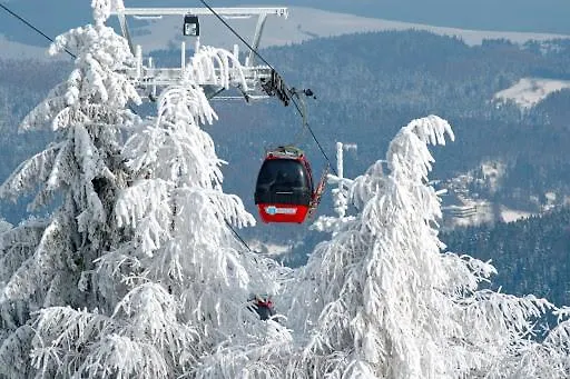 Курортный комплекс Osrodek Wypoczynkowy Gromada Крыница-Здруй